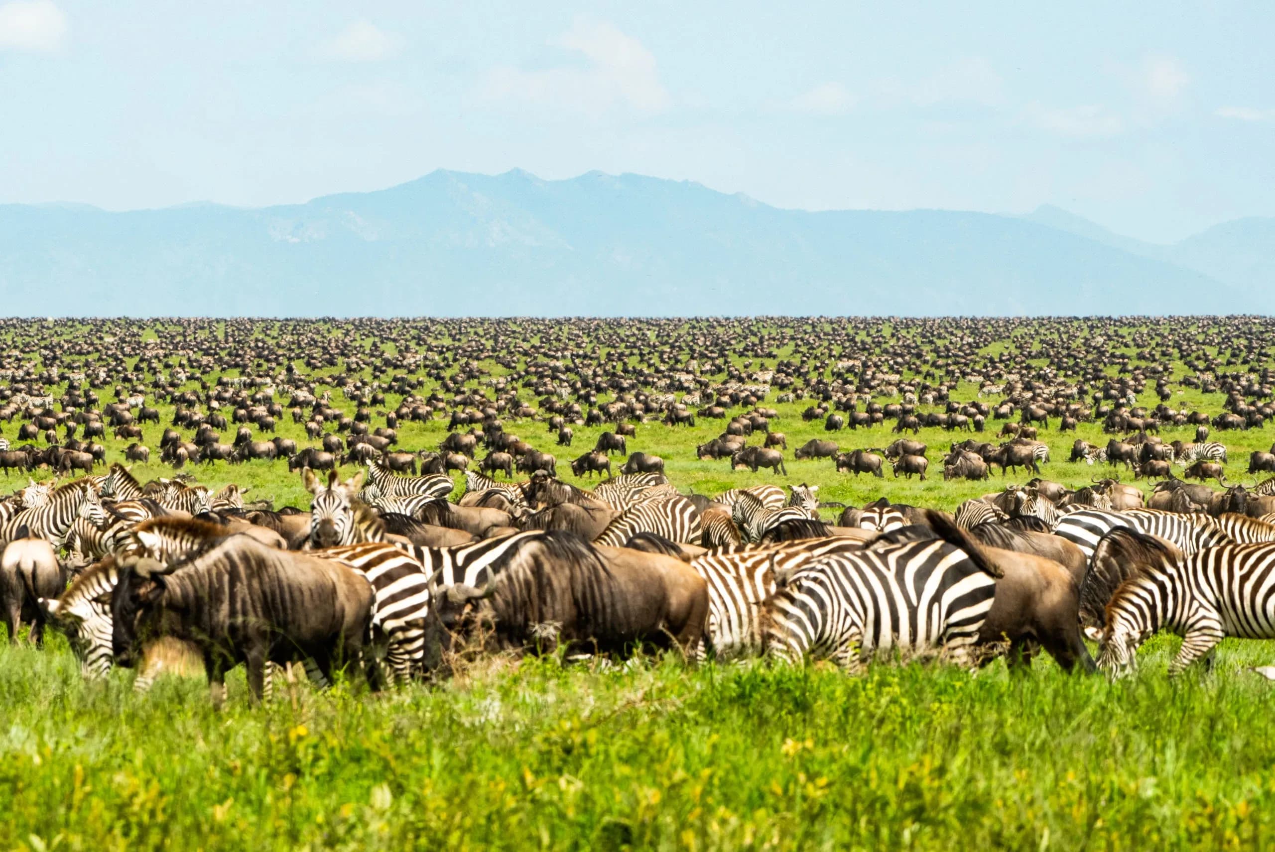 Tanzania