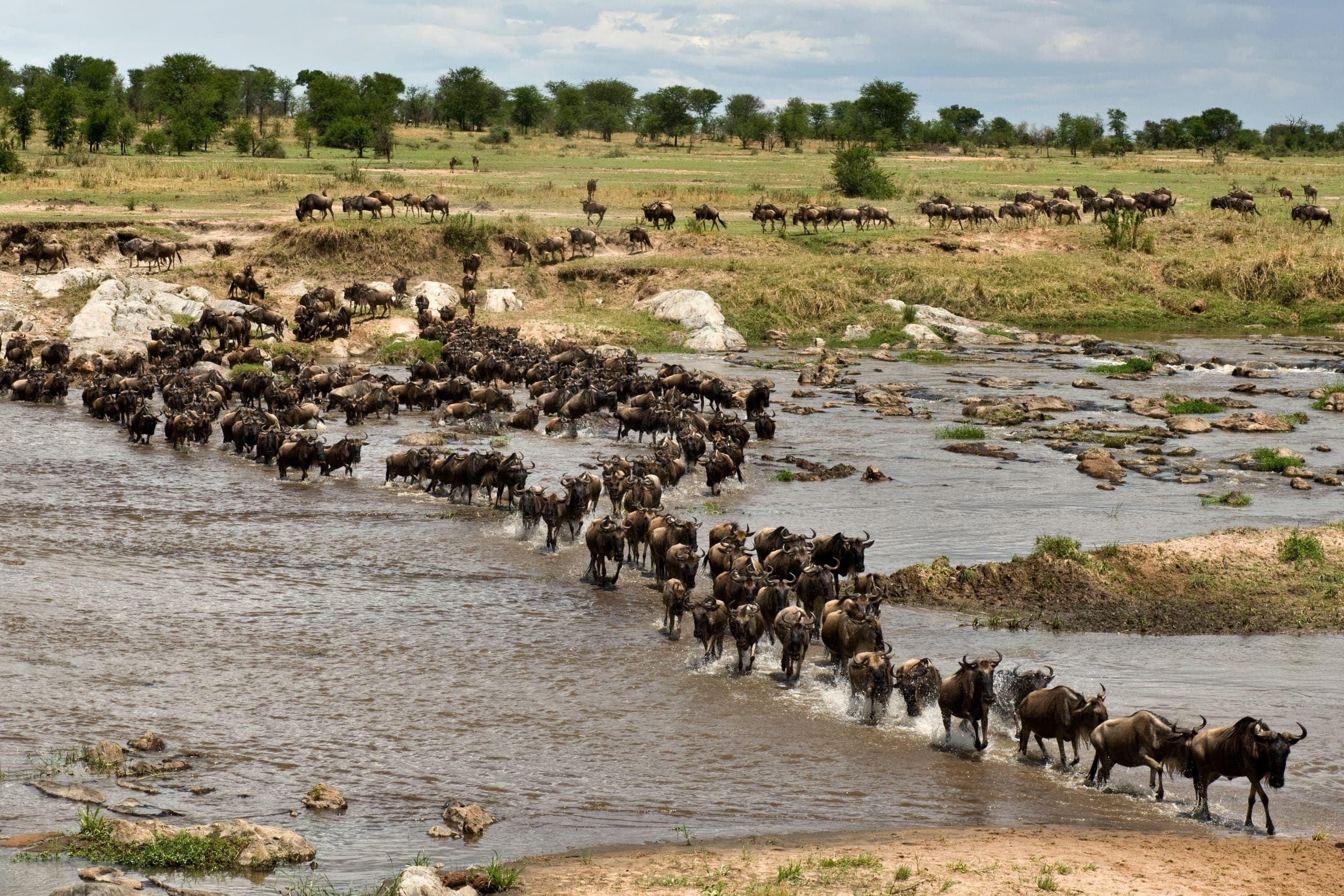 Bespoke African Safaris