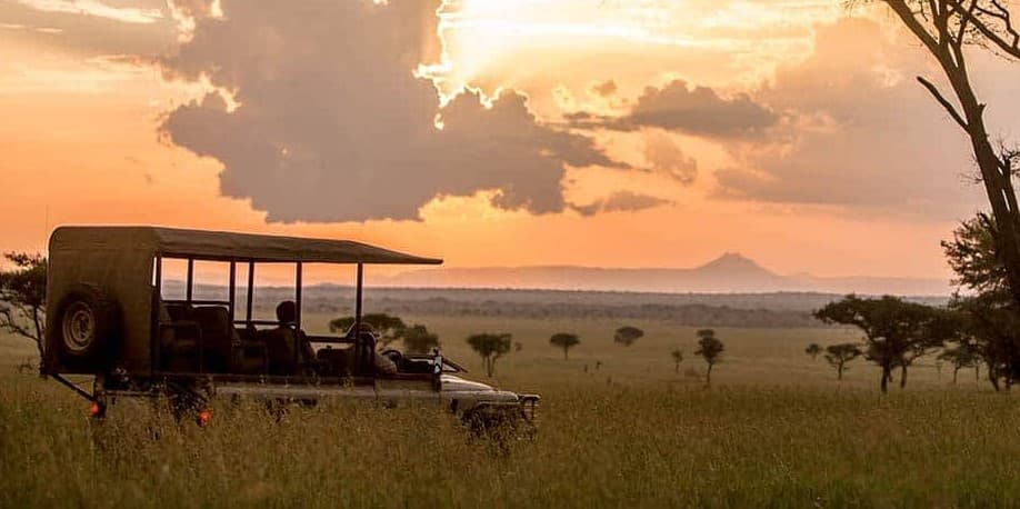 Honeymoon Journeys
