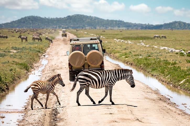 How Much Does a Tanzania Safari Cost in 2026 and 2027?