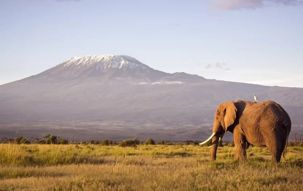 What Weakens a Tanzania Safari Itinerary